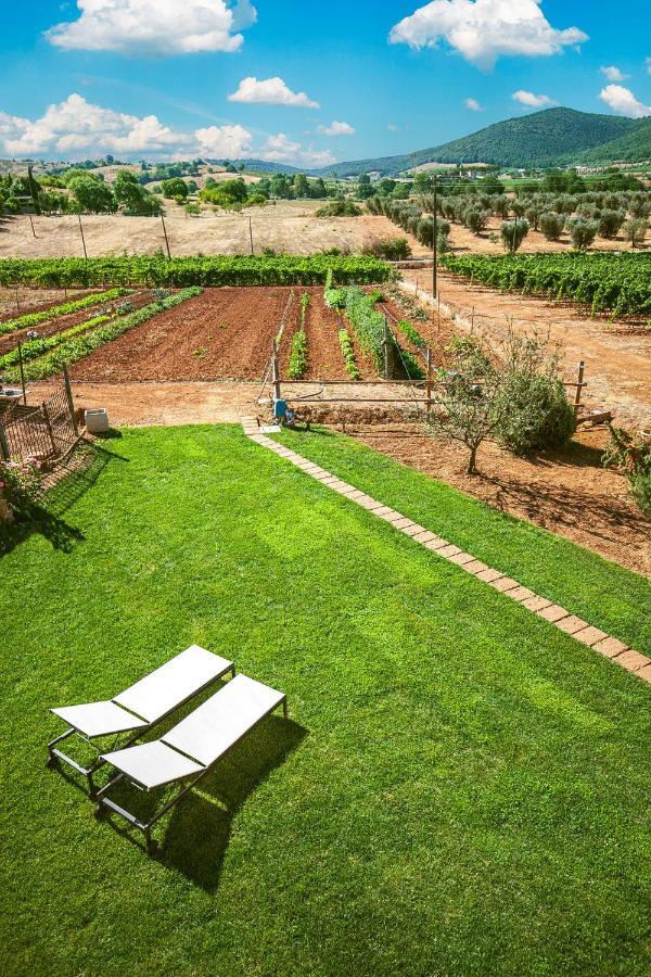 ألبيريزي Poggiolivi Agriturismo Bio In Maremma المظهر الخارجي الصورة